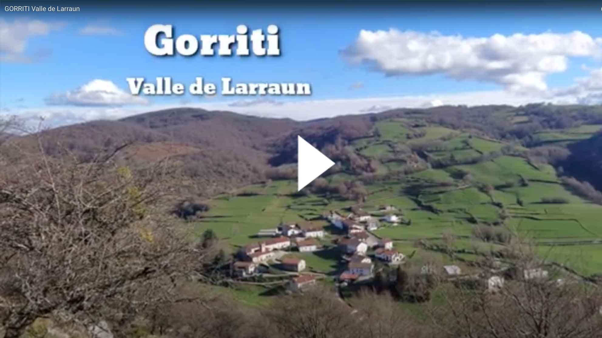 Visita a Gorriti